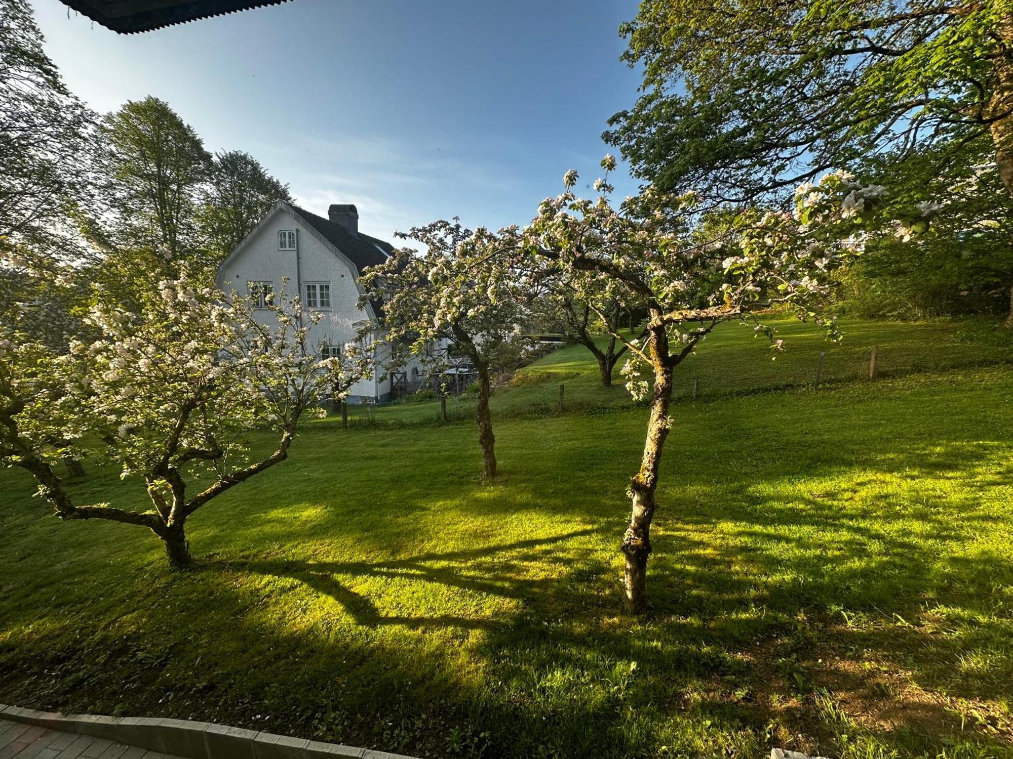 Luxury 2 Rooms Residence At The Heart Of Borås מראה חיצוני תמונה